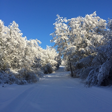 Piste bleue de ski de fond du Plateau de Retord : Le Balcon des Plans