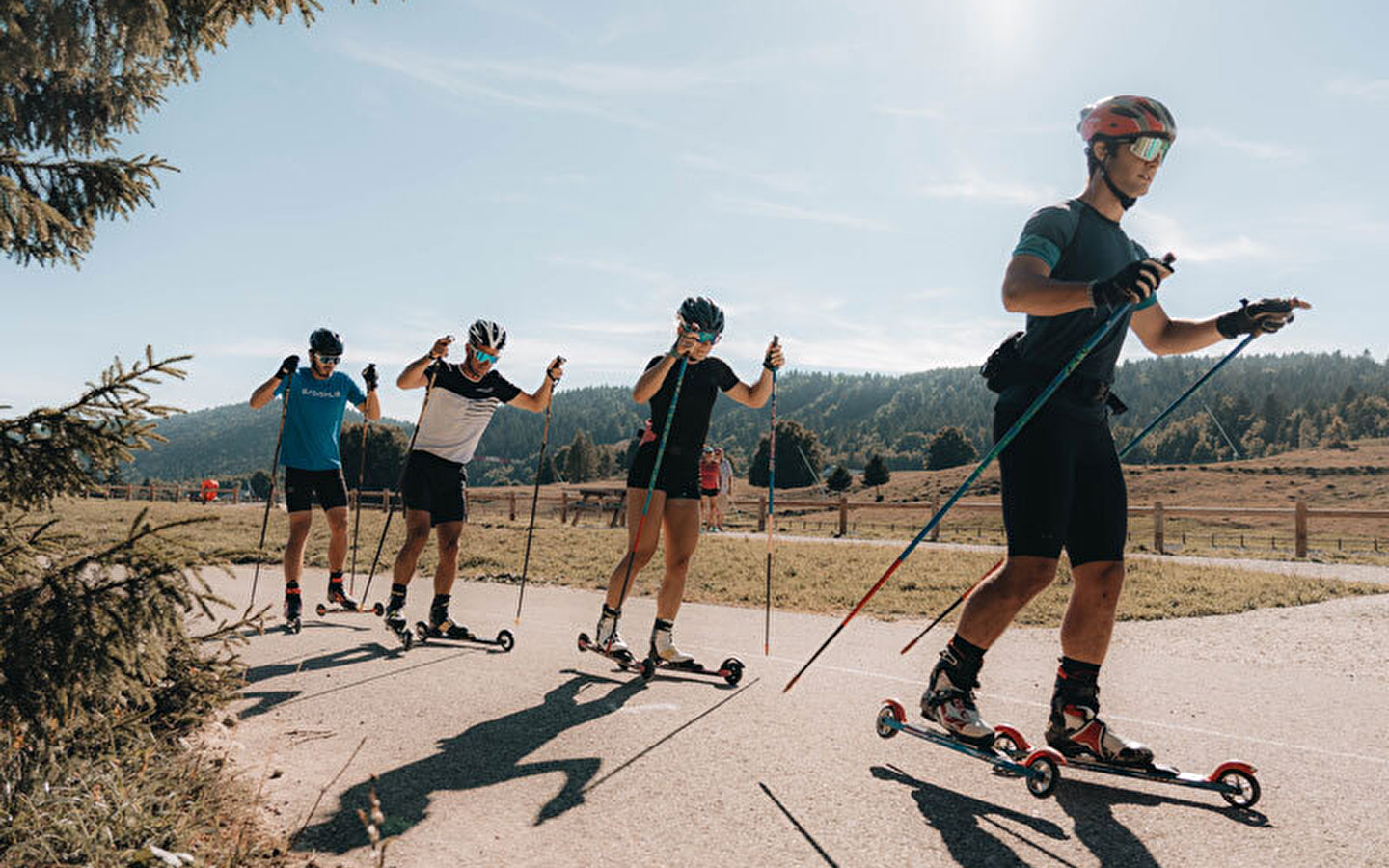 Ski à roulette sur demande
