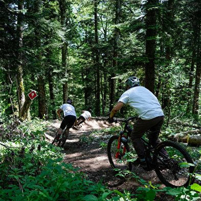Piste VTT Descente - rouge - Chez Paco - Espace Ain Forestière