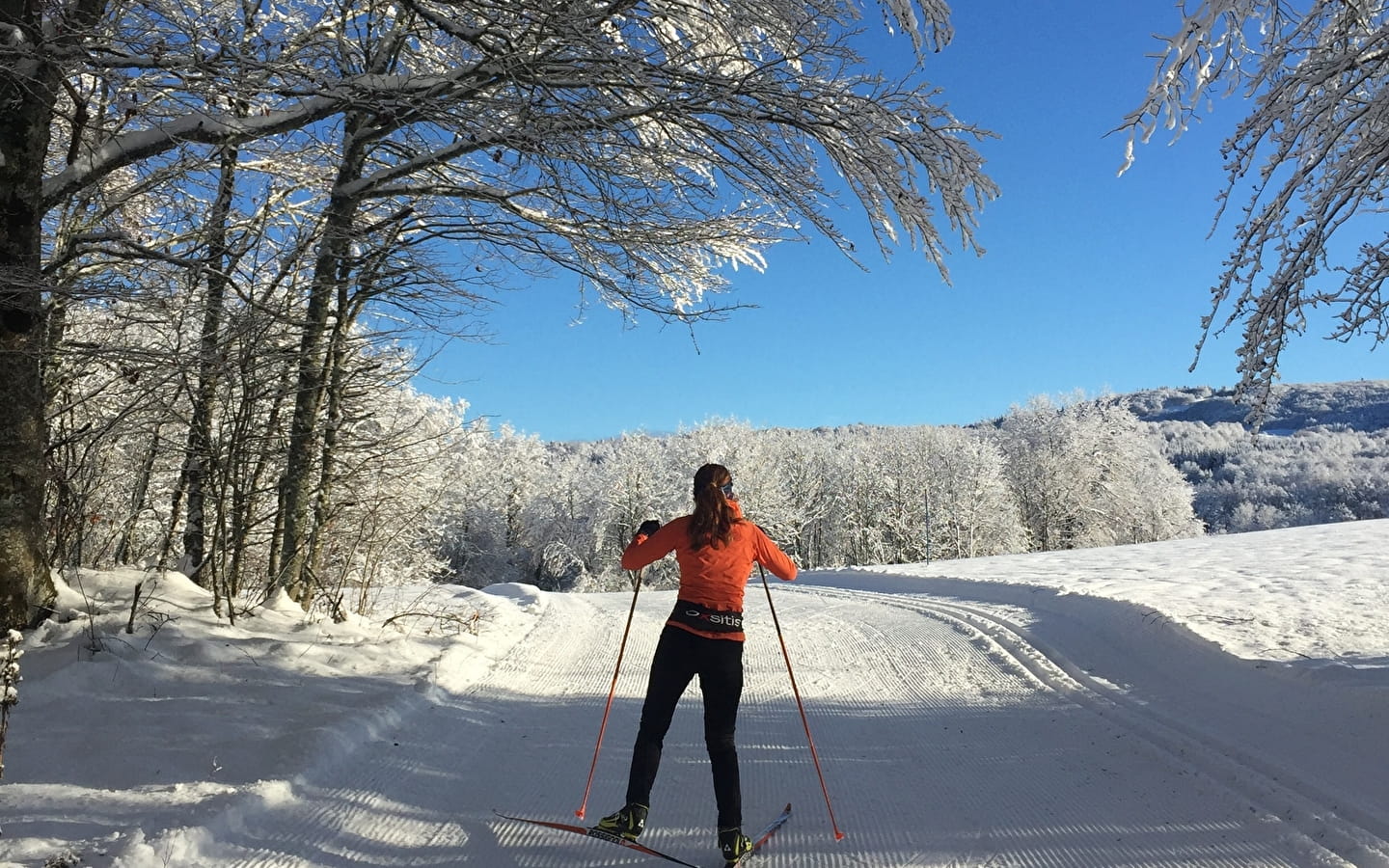 Piste bleue de ski de fond du Plateau de Retord : Les Ruches