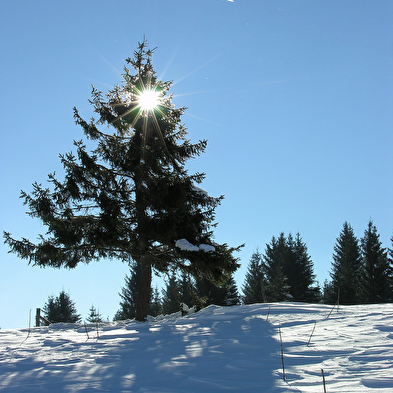 Site Nordique du Haut Saugeais Blanc