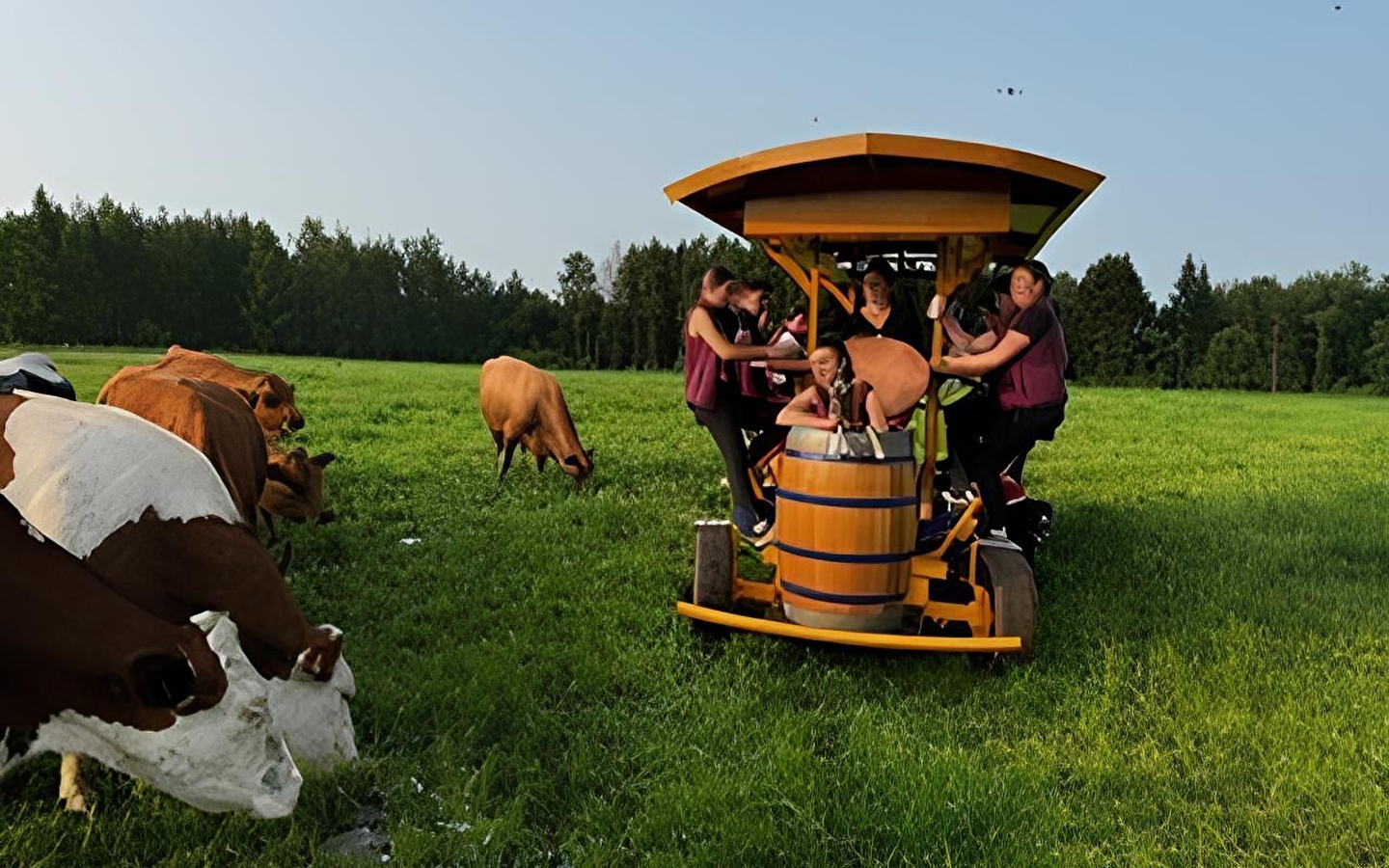 La Ferme du Rondeau à Vélo c’est rigolo ! 