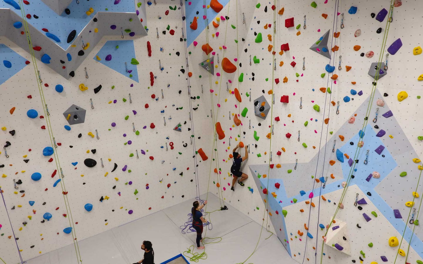 Salle d'escalade Marie Paradis