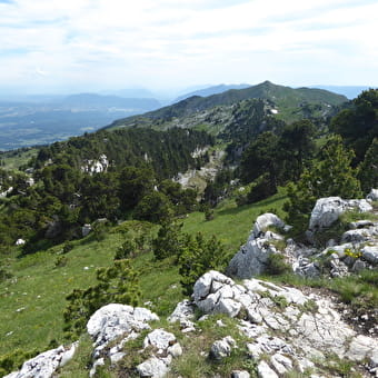 Le Crêt de la Neige - THOIRY