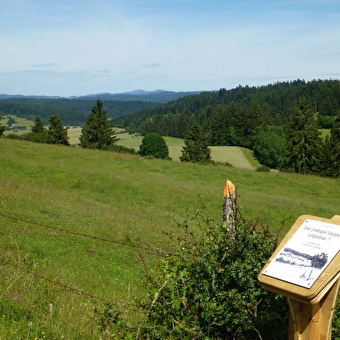 Le berger des vaches - VAUX-ET-CHANTEGRUE