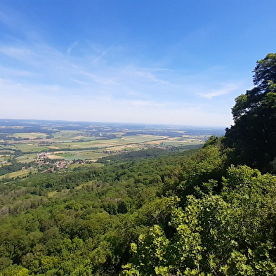 Dame Blanche et Vieux Tilleul
