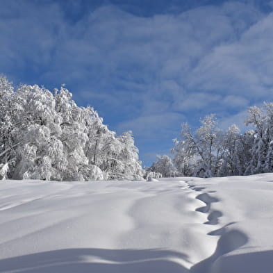 Le Plateau de Retord