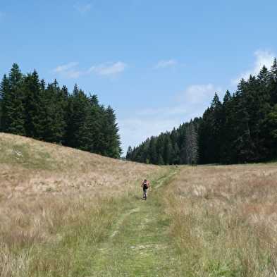Circuit VTTAE - À la découverte du Haut Jura - La Borne au Lion