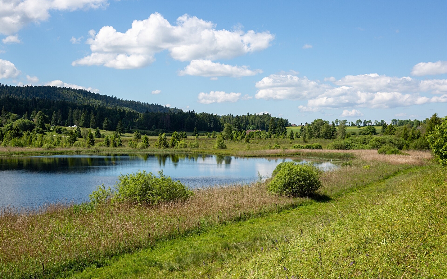 Circuit de découverte du lac des Rouges Truites