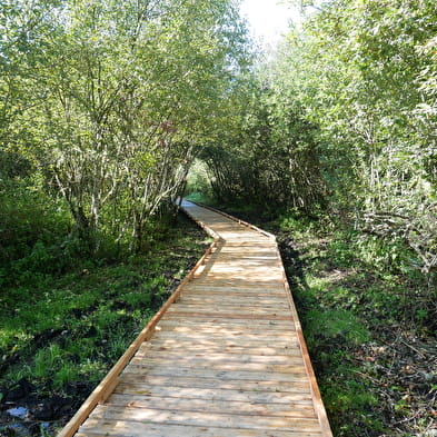 Marais de Vaux