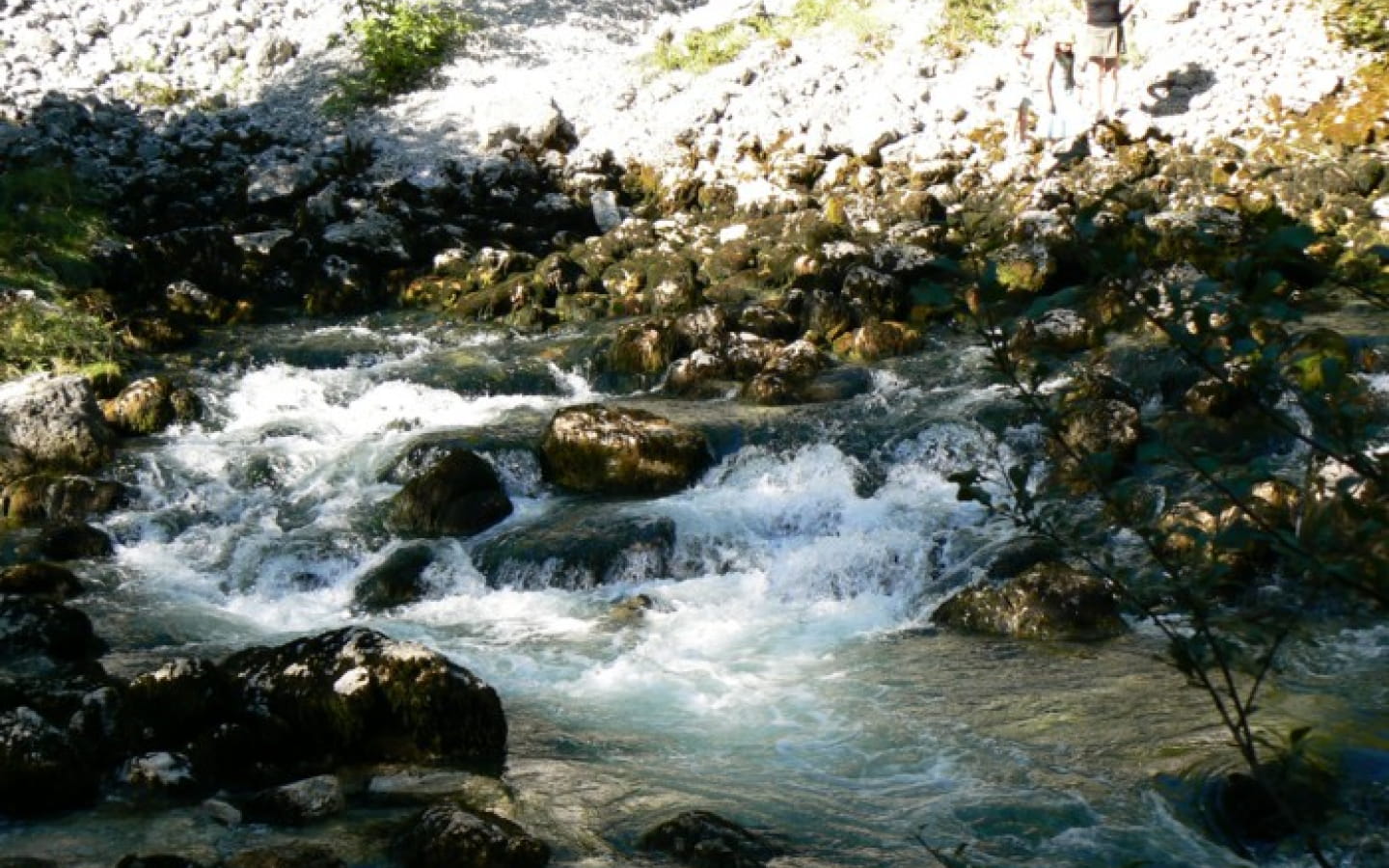 Source de la Saine