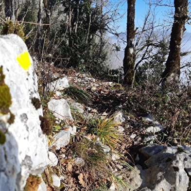 Falaise de Chatillon - Maquis de l'Ain, camp de Chalours