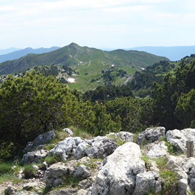 Randonnée pédestre : les hauts sommets depuis Lélex