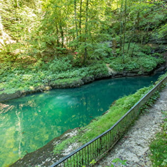 Source de l'Ain et ses cascades  - CONTE