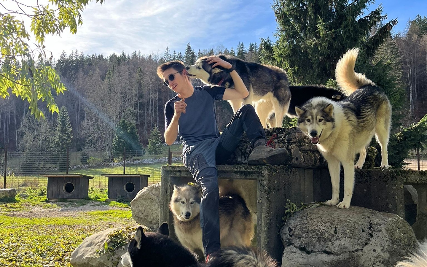 Visite commentée de notre meute