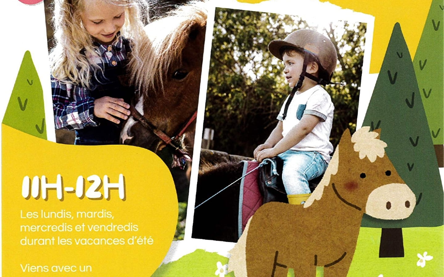 Explore le monde des Poneys