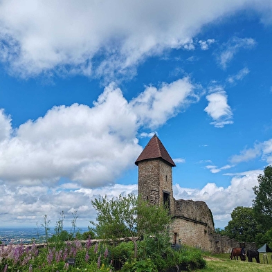 Visites guidées - portes ouvertes au Château de Chevreaux