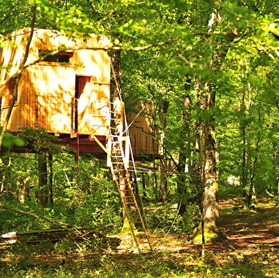 Cabanes dans les arbres