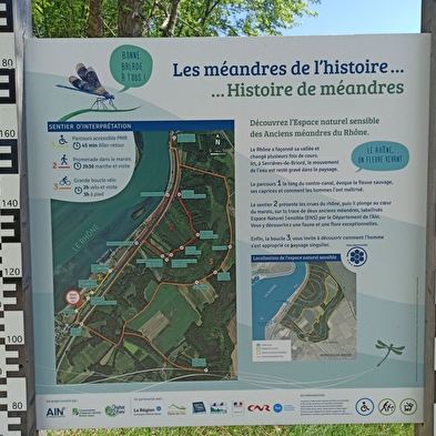 Sentier des anciens méandres du Rhône (ENS de l'Ain)