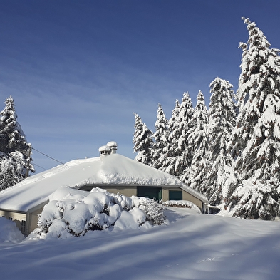 Randonnée raquettes : sur le plateau de la Dole