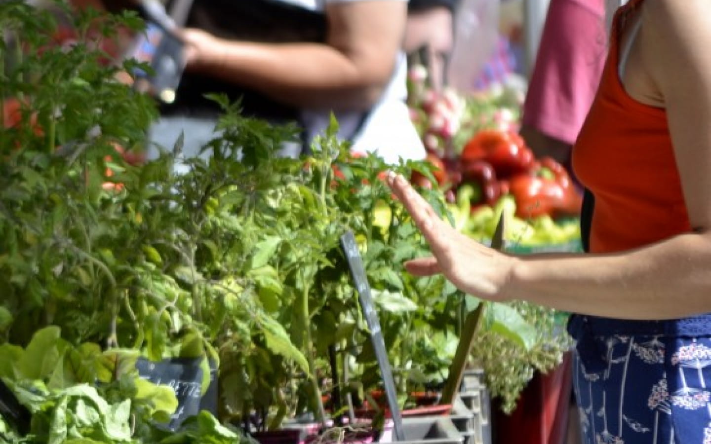 Marché des Auxons