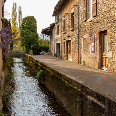 Le sentier du Buizin