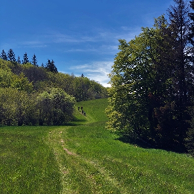 Sentier nature 'Sentier du Maquis de Retord'