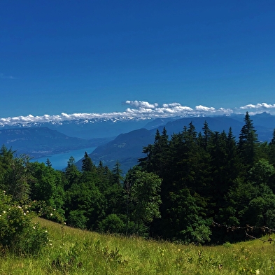 Circuit de randonnée pédestre : Chanduraz depuis Béon