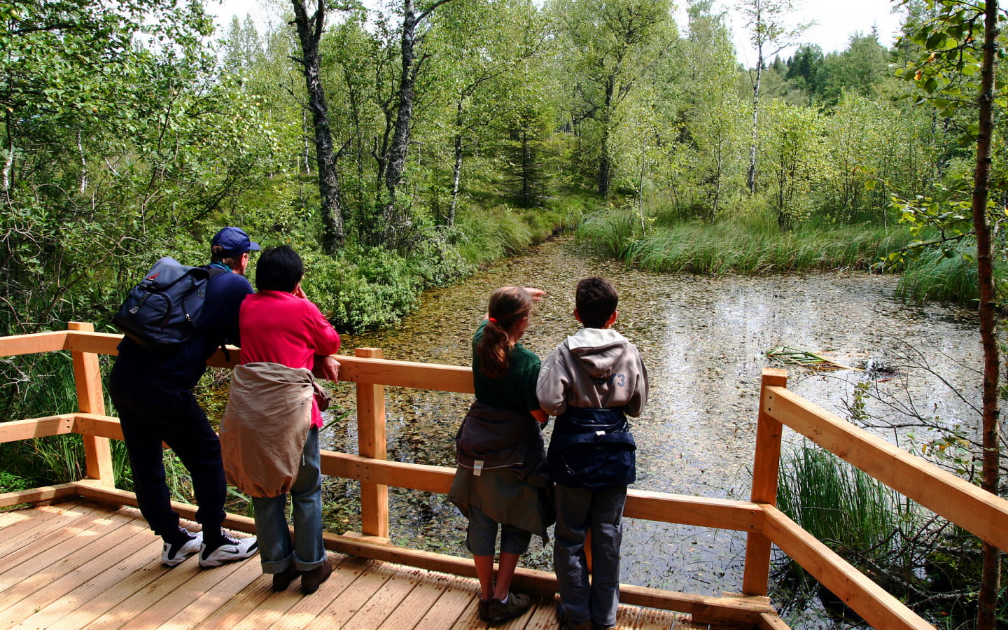 Sortie nature - Découverte des tourbières en famille