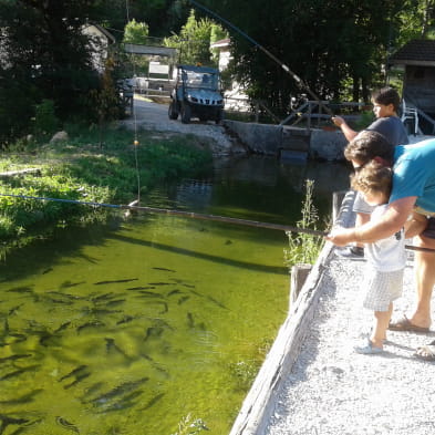 Les Truites des Rivières