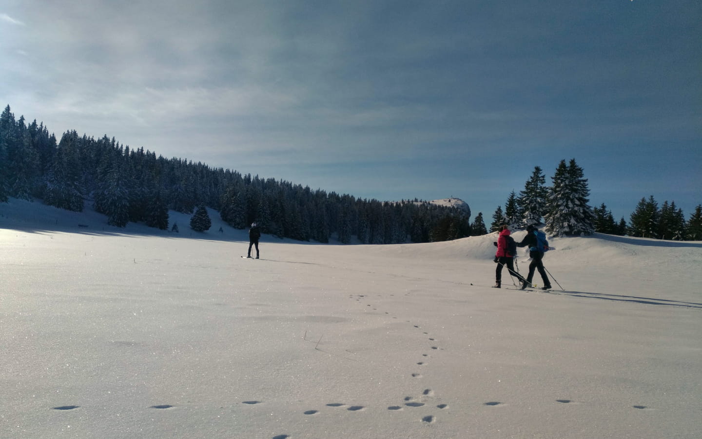 Ski de rando nordique : balade