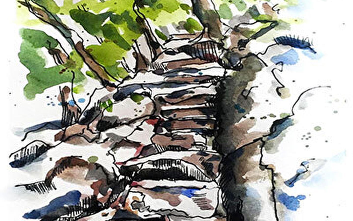 Stage d'été dessin et peinture : Dessiner les esprits de la nature
