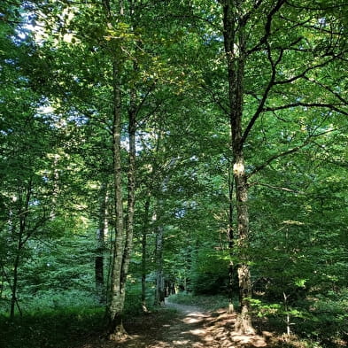 Sentier ludique de la Côte Roux