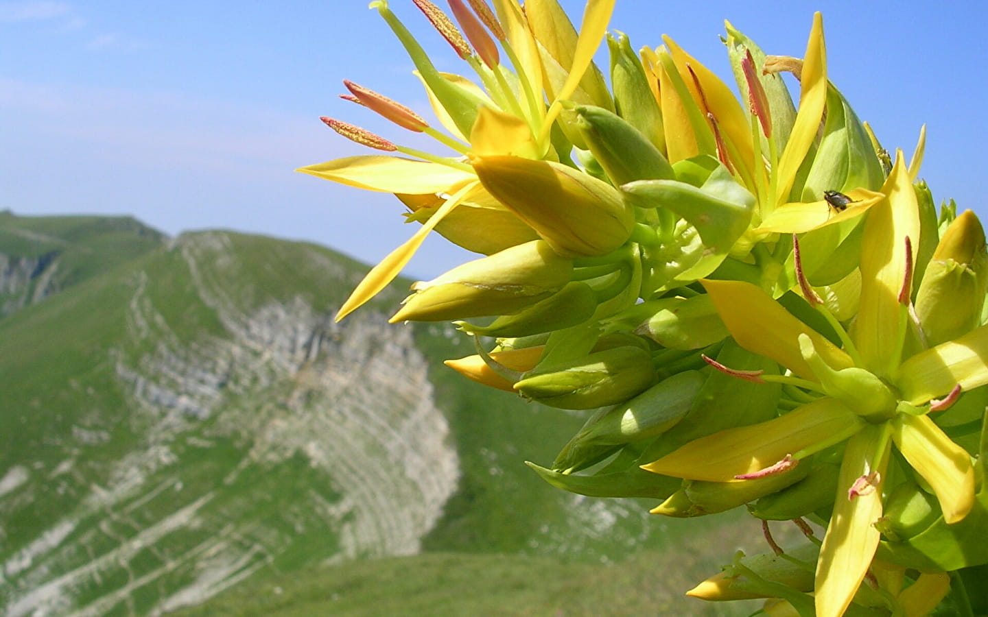 Réserve Naturelle Nationale de la Haute Chaîne du Jura