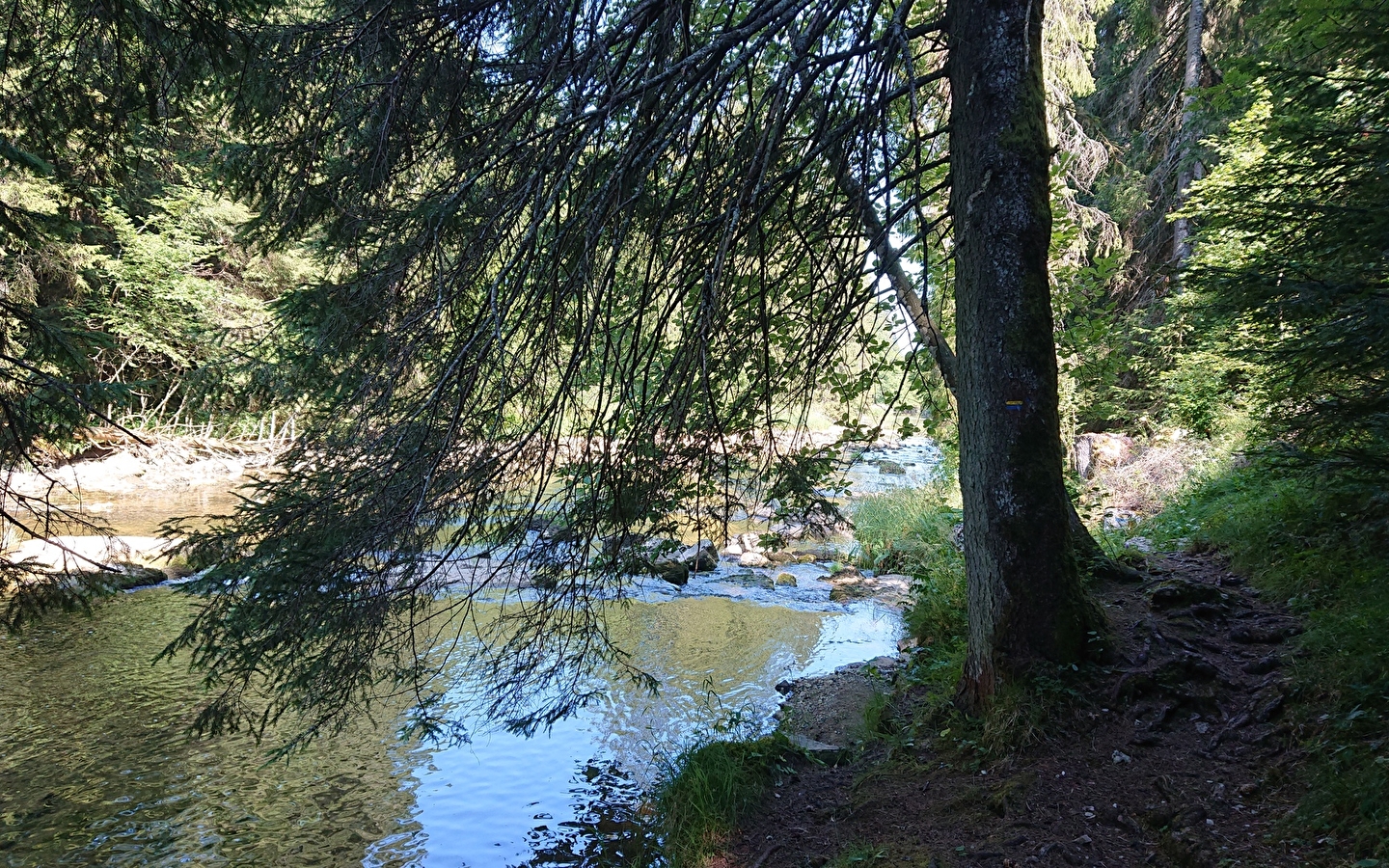 Gorges du Fourperet