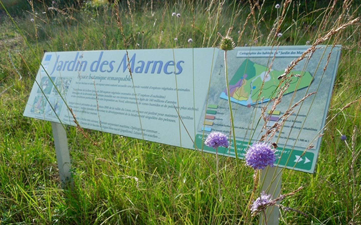 Sentier du Jardin des Marnes