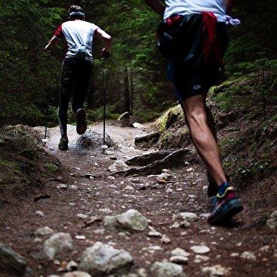 Le Trail de Brénod