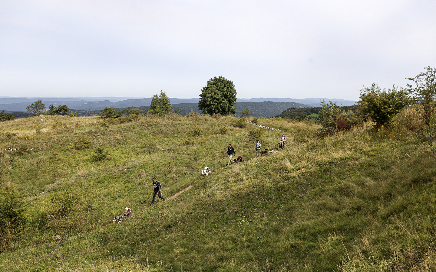 La vallée des laïkas - kart, cani-trottinette et cani-rando