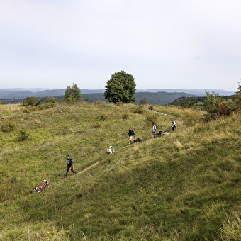 La vallée des laïkas - kart, cani-trottinette et cani-rando - LA PESSE