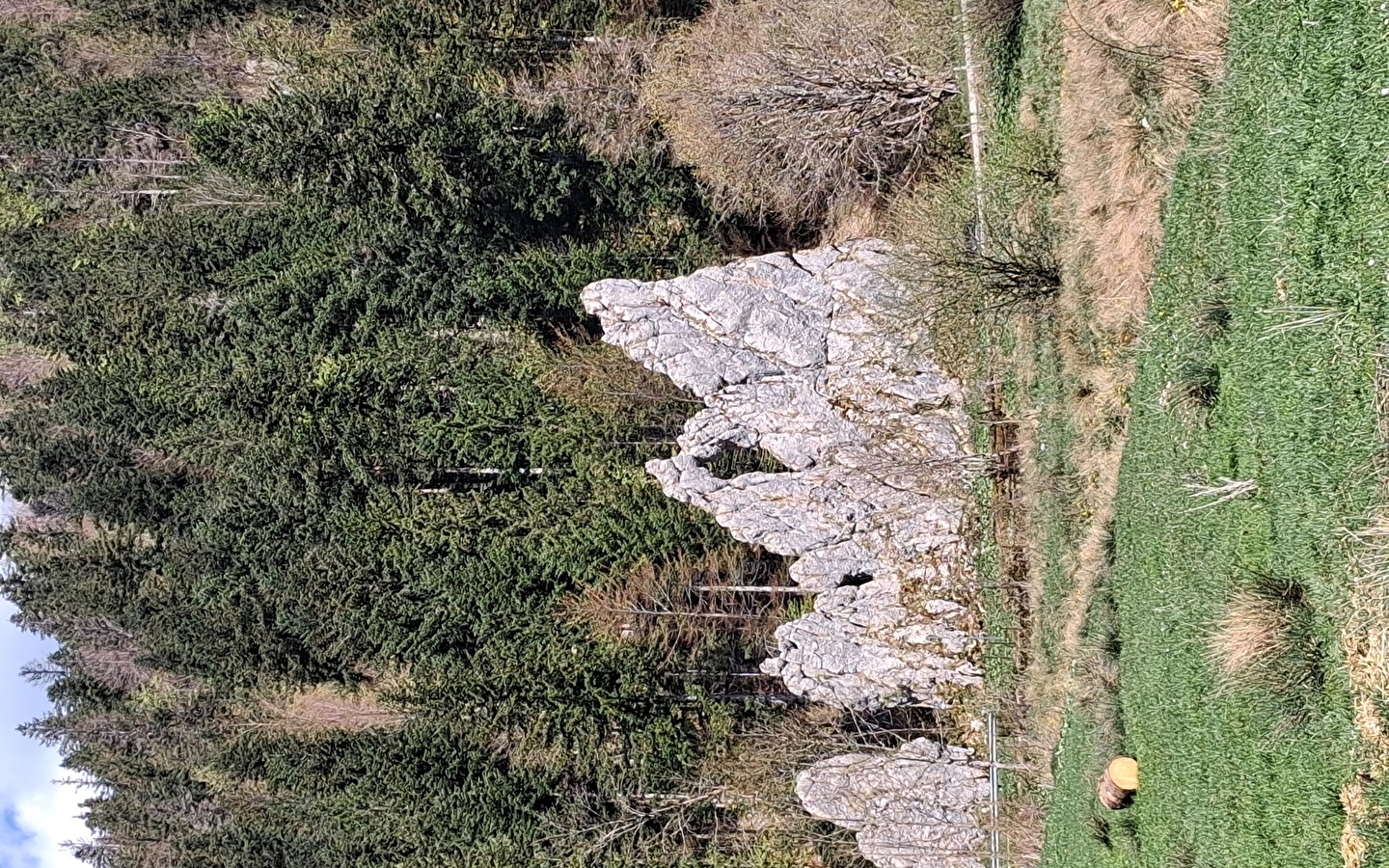 Le Franco-Suisse - n°10