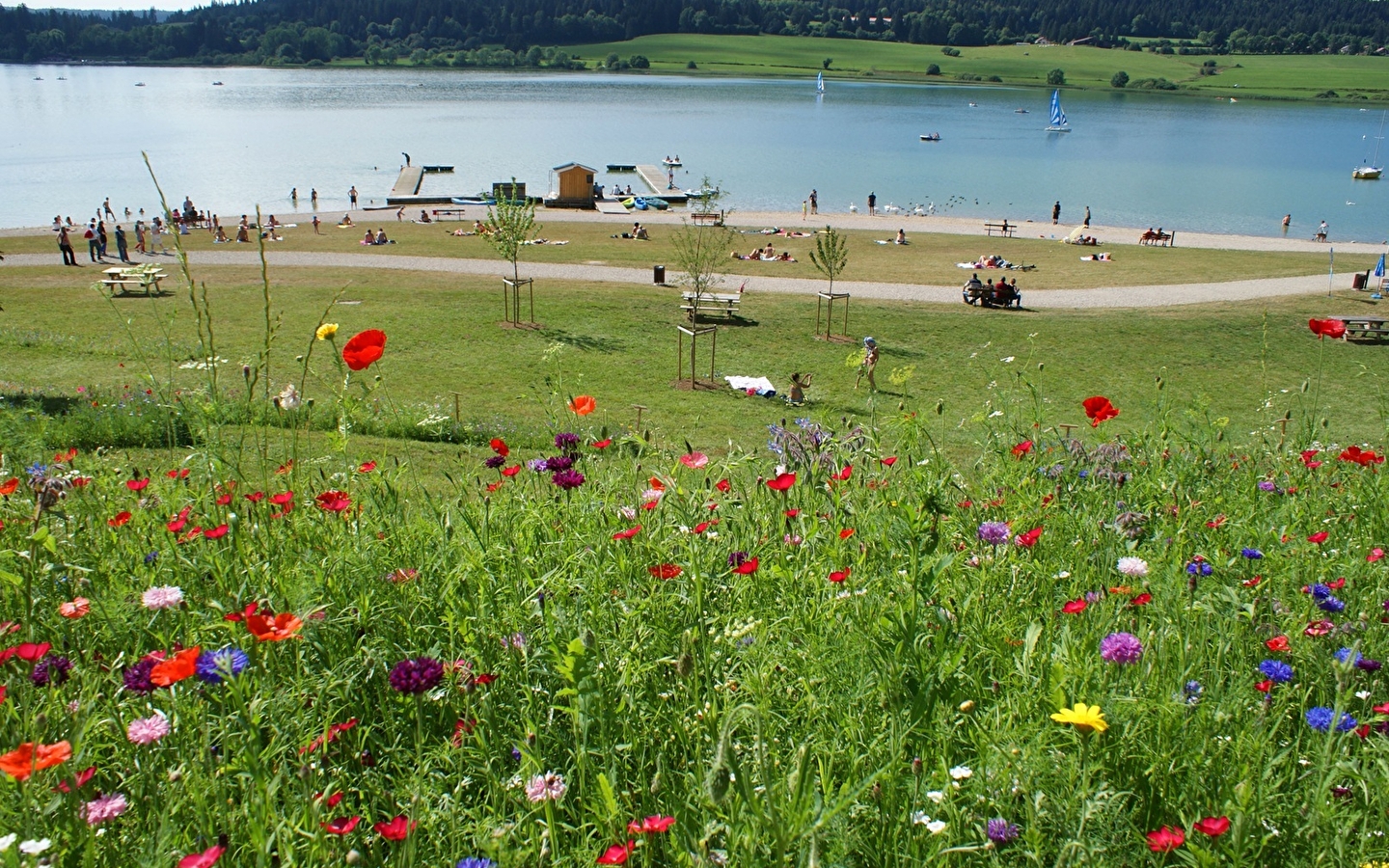 Baignade au Lac de Saint-Point
