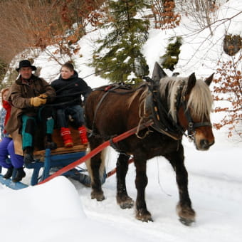 Les Attelages du Grandvaux en hiver - LA CHAUMUSSE