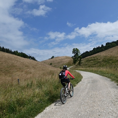 Circuit VTTAE - À la découverte du Haut Jura - La Borne au Lion