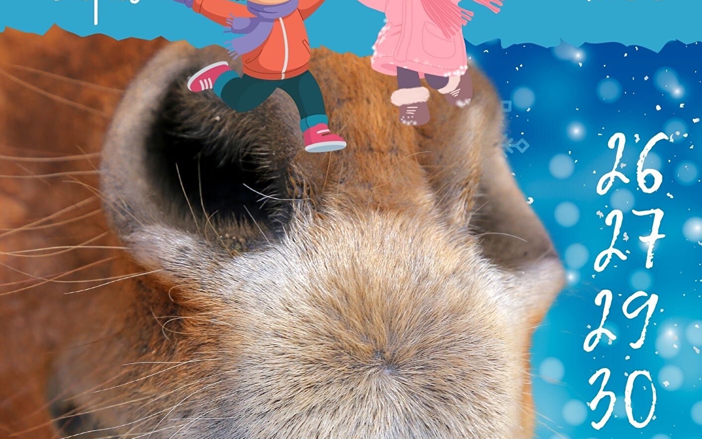 Après-midis enfants - La Ferme des Comtois