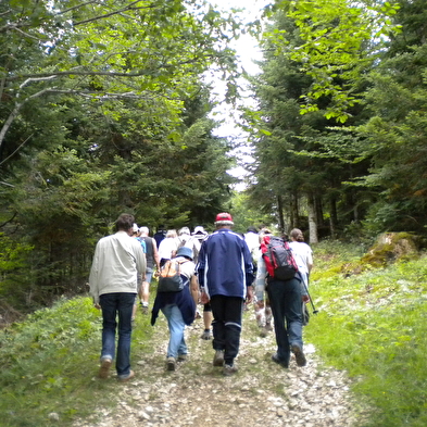 Chemin du Fer