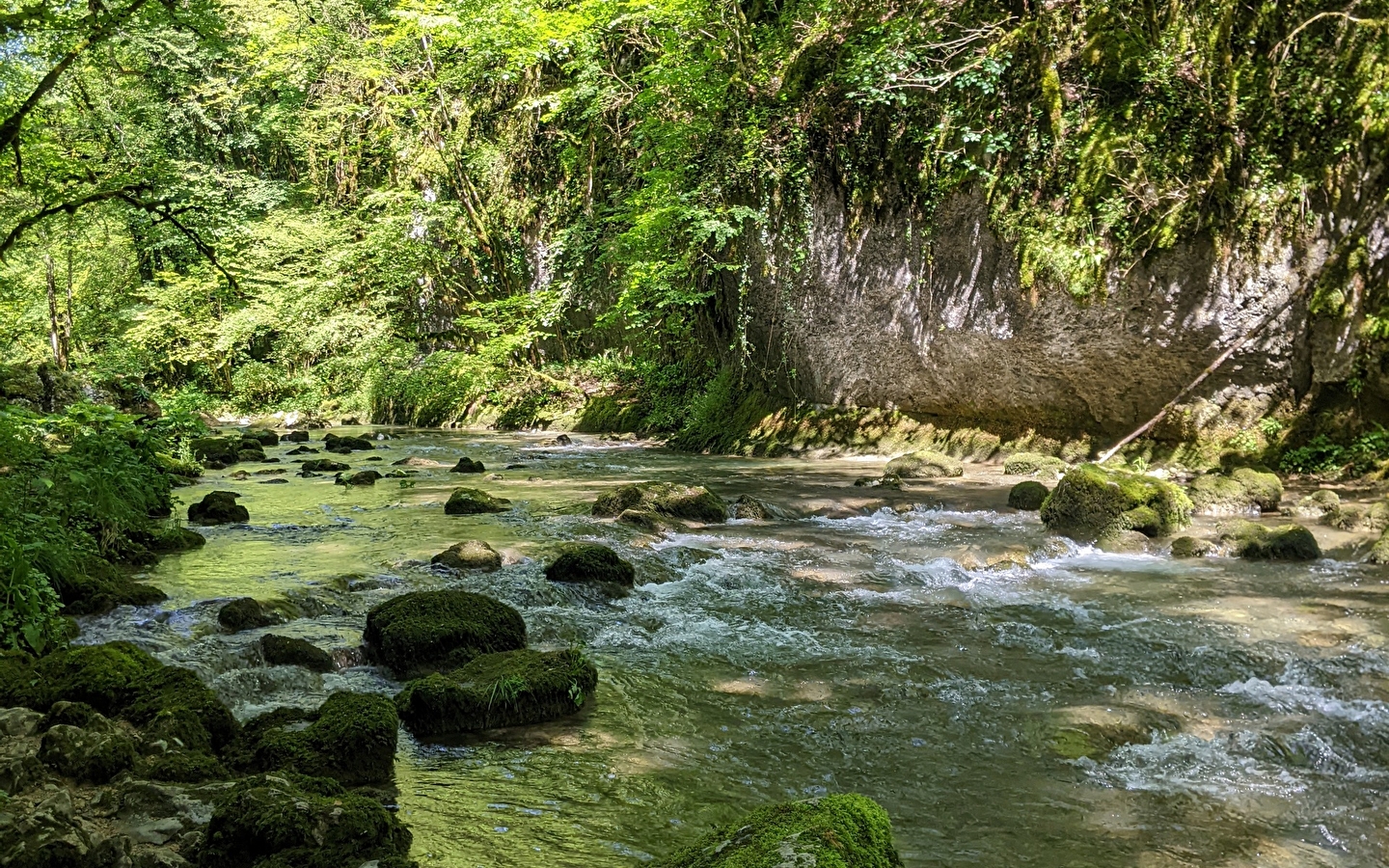 Sentier Courbet 6 : Le Ravin du Puits Noir, l'atelier en nature