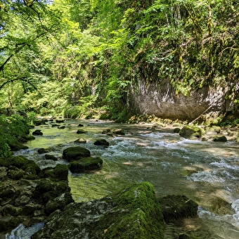 Sentier Courbet 6 : Le Ravin du Puits Noir, l'atelier en nature - SCEY-MAISIERES