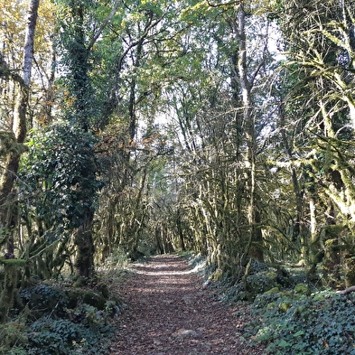 Mont Nivigne et Grotte à l'Ours