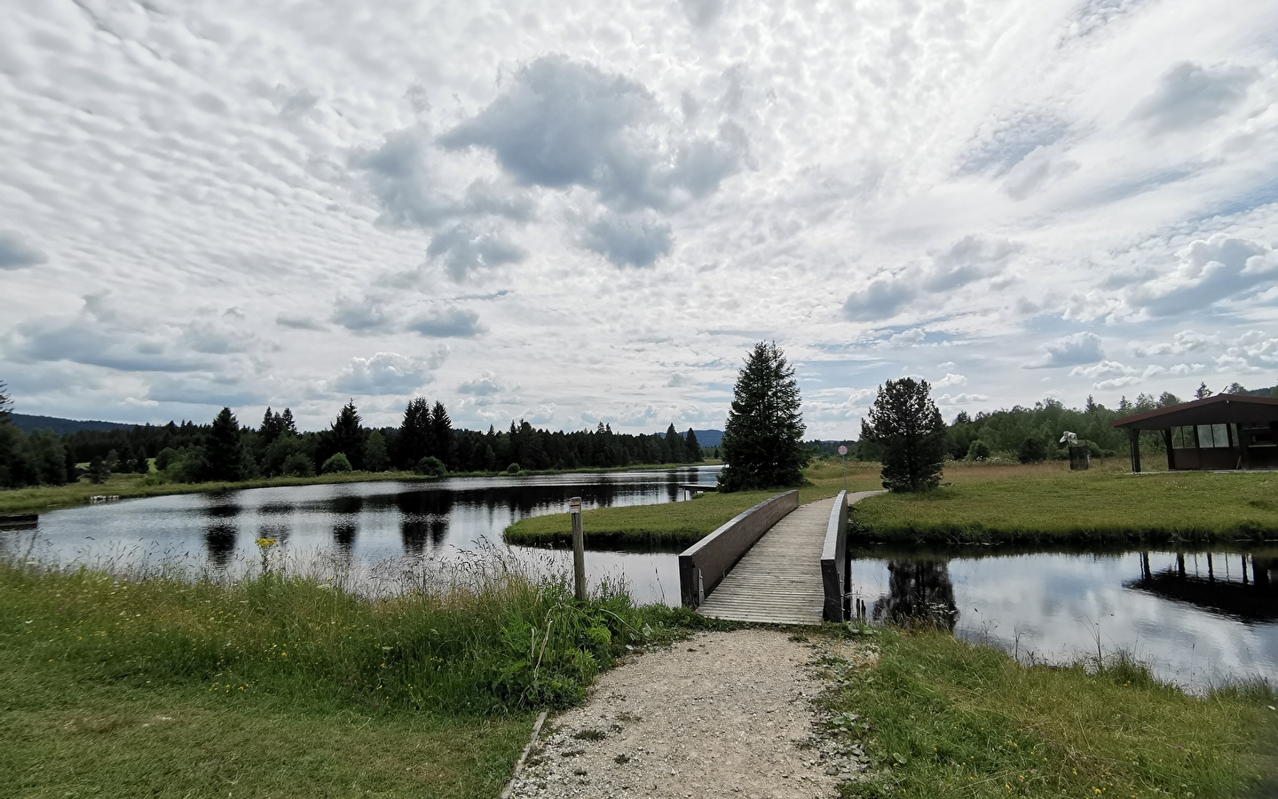 Les Belles Seignes - n°51 A