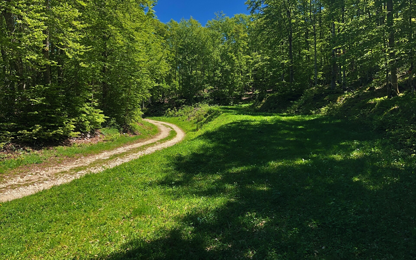 Parcours VTT 13 rouge - Le sud du Plateau de Retord - Espace FFC Ain Forestière